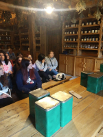 Studenti v zahraničí