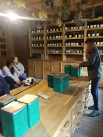 Studenti v zahraničí