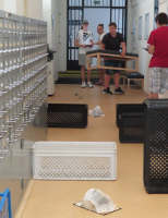 ROBOTŮ SE NEBOJÍME!