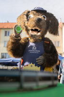 Den řemesel ve fotografii