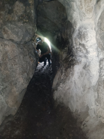 Práce vlakvedoucího