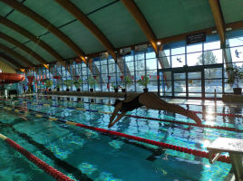 Učíme se, plaveme...