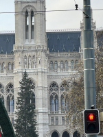 Vídeň očima žáků