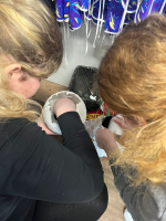 Velikonoční ekologické tvoření