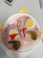 Praktická maturita v plném proudu!