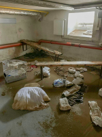 POMÁHALI RUKAMA I SRDCEM