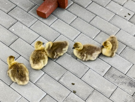 Turistický kurz Jablunkov Návsí