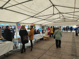 Interaktivní veletrh služeb