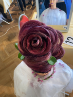 Reprezentace na mistrovství České republiky v účesové tvorbě