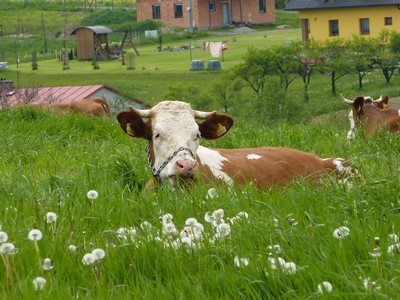 Slovenské Beskydy - výstup na Girovou