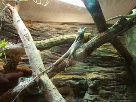 Turisté navštívili ZOO Olomouc