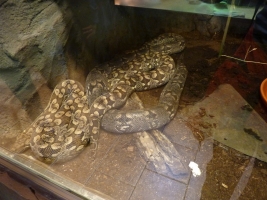 Turisté navštívili ZOO Olomouc