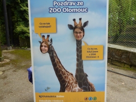 Turisté navštívili ZOO Olomouc