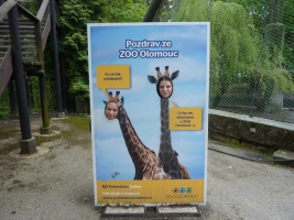 Turisté navštívili ZOO Olomouc