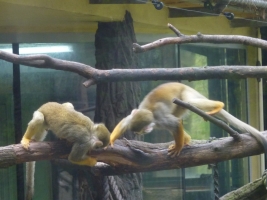 Turisté navštívili ZOO Olomouc