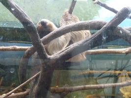 Turisté navštívili ZOO Olomouc