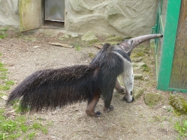 Turisté navštívili ZOO Olomouc