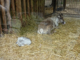 Turisté navštívili ZOO Olomouc