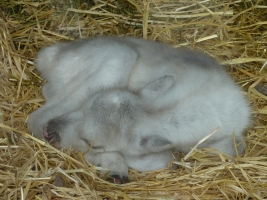 Turisté navštívili ZOO Olomouc