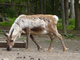 Turisté navštívili ZOO Olomouc
