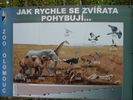 Turisté navštívili ZOO Olomouc