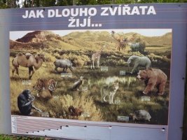 Turisté navštívili ZOO Olomouc