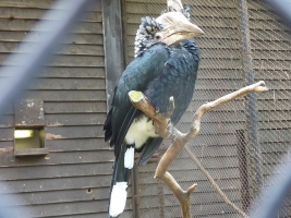 Turisté navštívili ZOO Olomouc