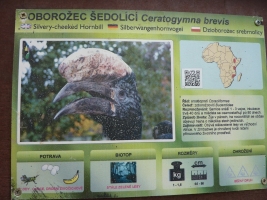 Turisté navštívili ZOO Olomouc