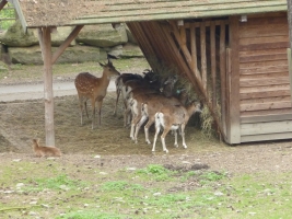 Turisté navštívili ZOO Olomouc