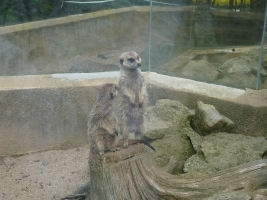 Turisté navštívili ZOO Olomouc