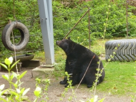 Turisté navštívili ZOO Olomouc