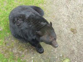 Turisté navštívili ZOO Olomouc