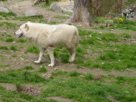 Turisté navštívili ZOO Olomouc