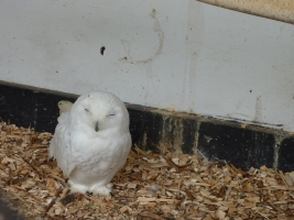 Turisté navštívili ZOO Olomouc