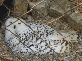 Turisté navštívili ZOO Olomouc