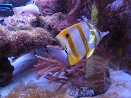 Turisté navštívili ZOO Olomouc