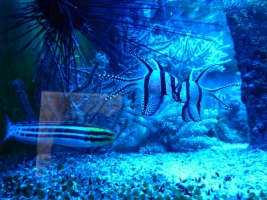 Turisté navštívili ZOO Olomouc