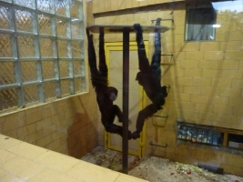 Turisté navštívili ZOO Olomouc