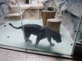 Turisté navštívili ZOO Olomouc