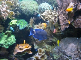 Turisté navštívili ZOO Olomouc