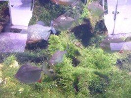 Turisté navštívili ZOO Olomouc