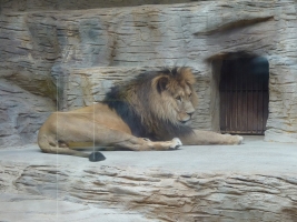 Turisté navštívili ZOO Olomouc