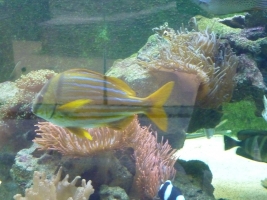 Turisté navštívili ZOO Olomouc