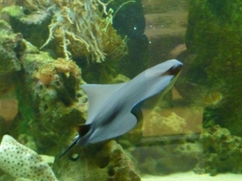 Turisté navštívili ZOO Olomouc