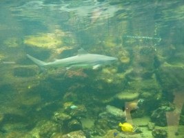 Turisté navštívili ZOO Olomouc