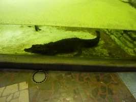 Turisté navštívili ZOO Olomouc