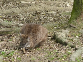 Turisté navštívili ZOO Olomouc