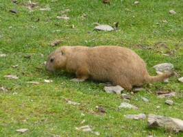 Turisté navštívili ZOO Olomouc