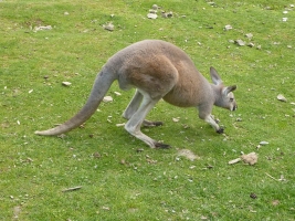 Turisté navštívili ZOO Olomouc