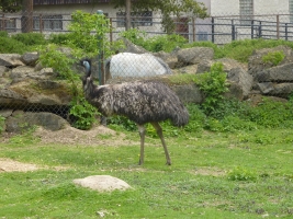 Turisté navštívili ZOO Olomouc